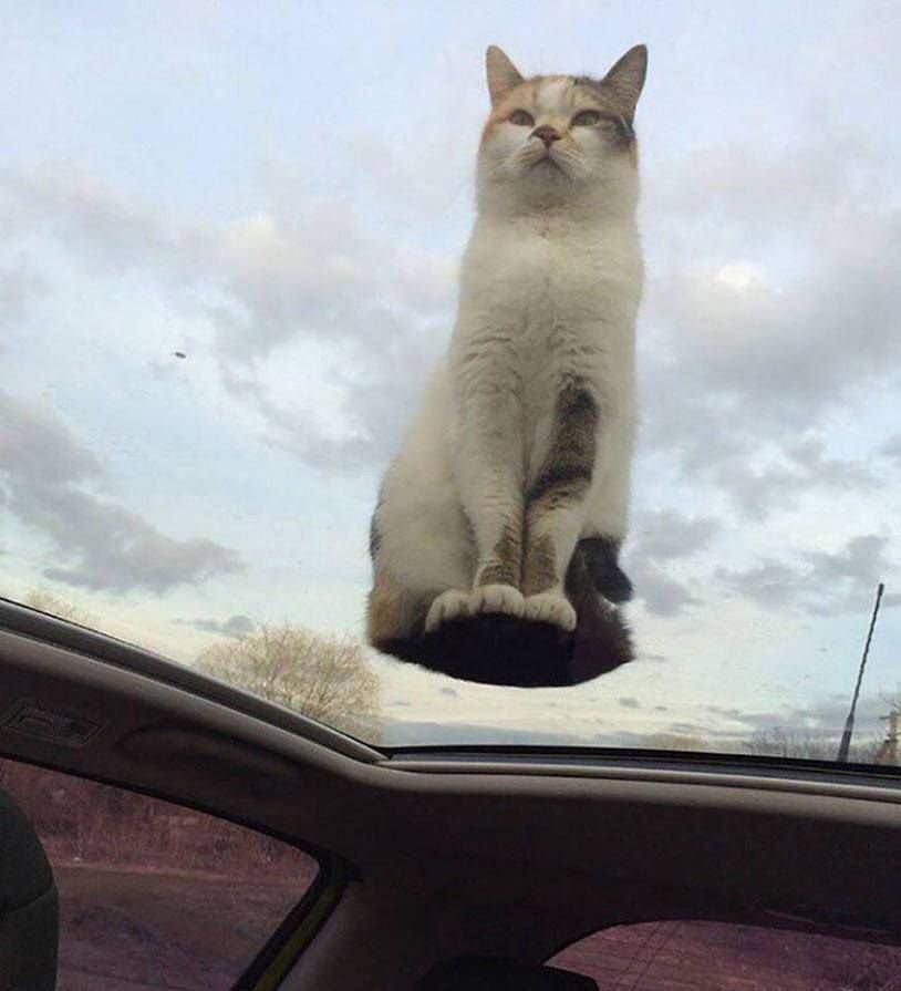 Daily Pictures. Part 1 (69 pics)