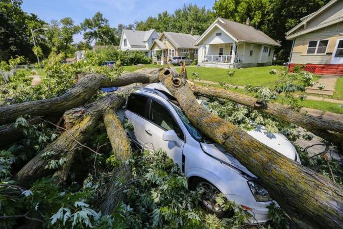 Daily Pictures. Part 1 (69 pics)