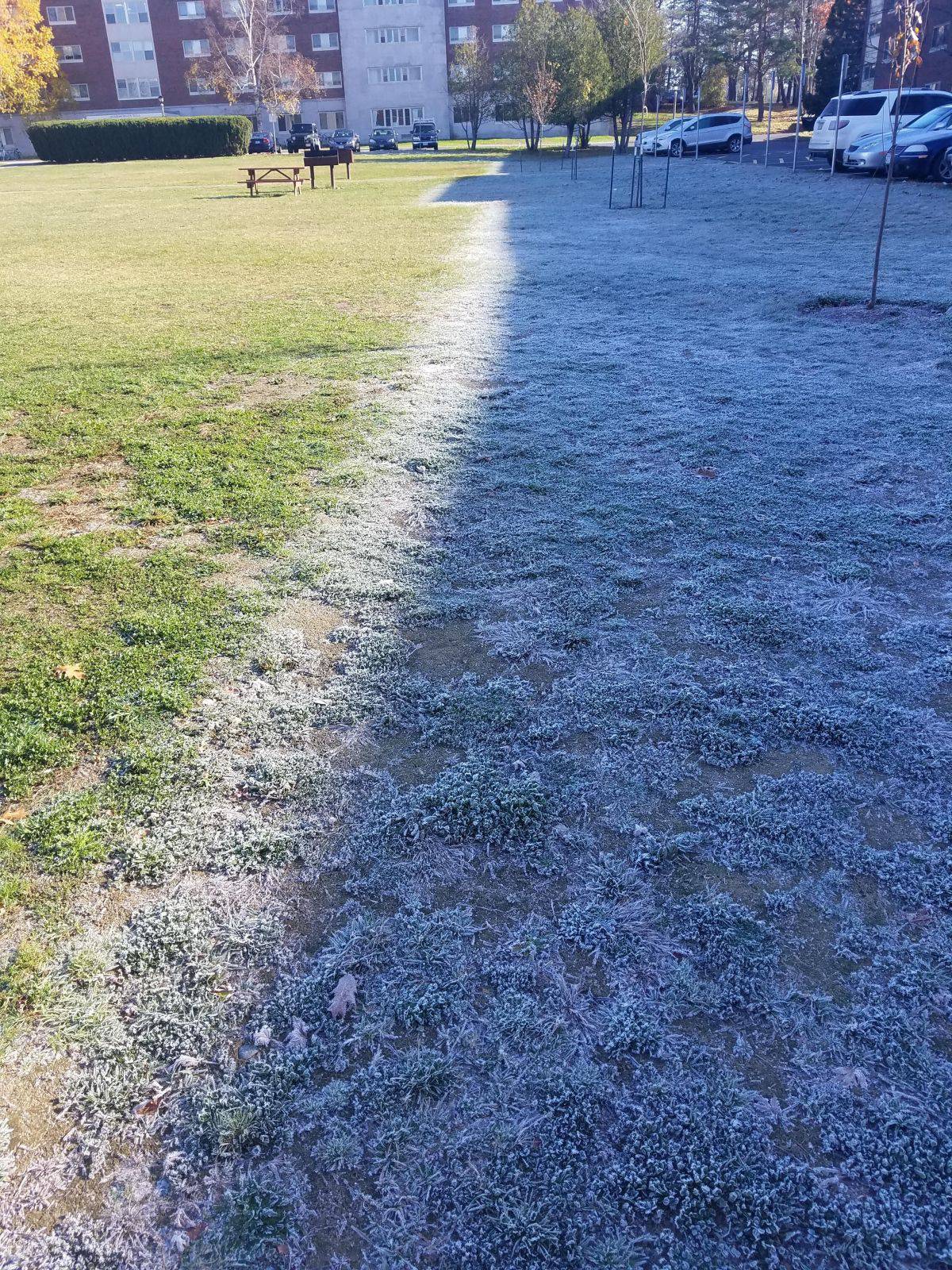 Daily Pictures. Part 1 (69 pics)