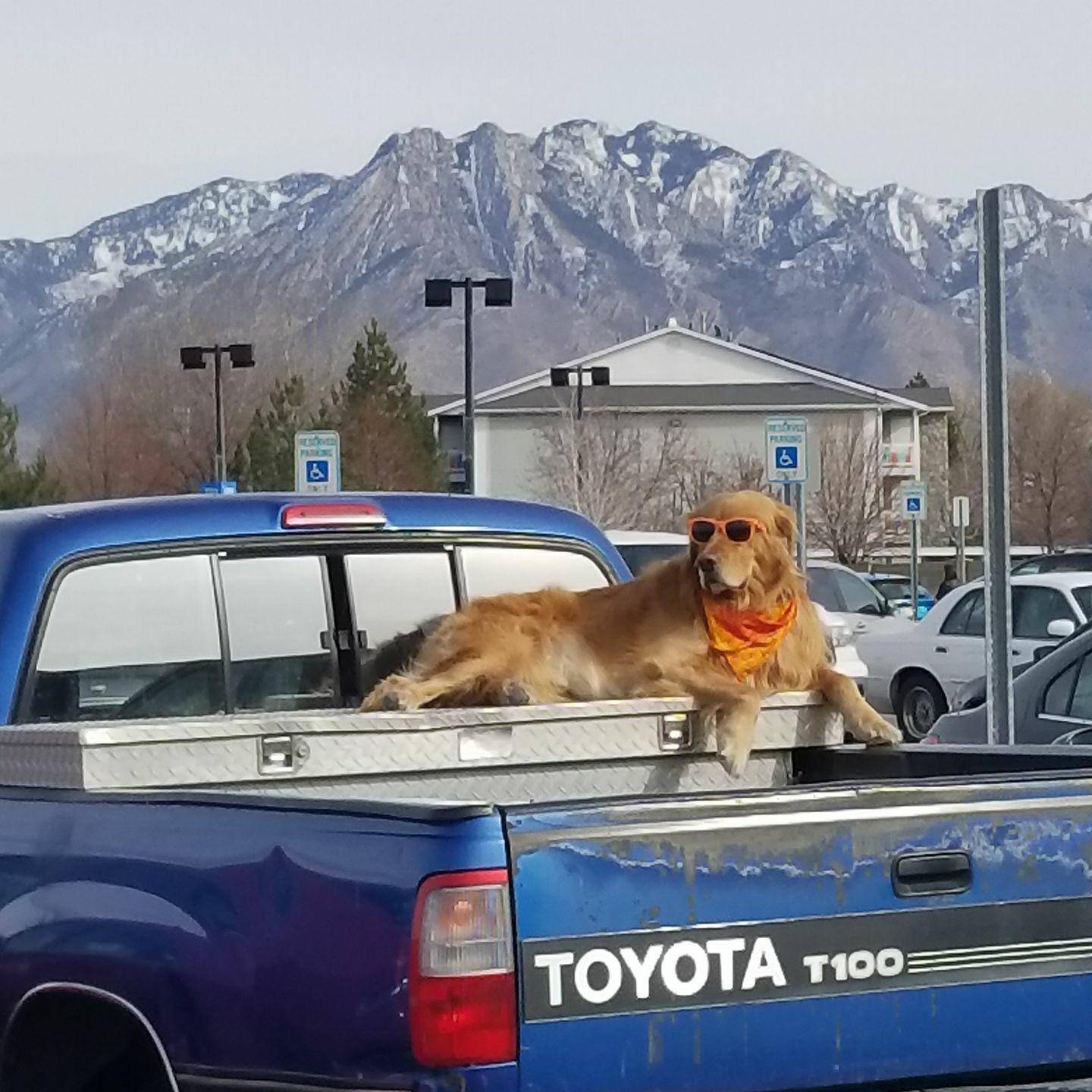 Daily Pictures. Part 1 (69 pics)