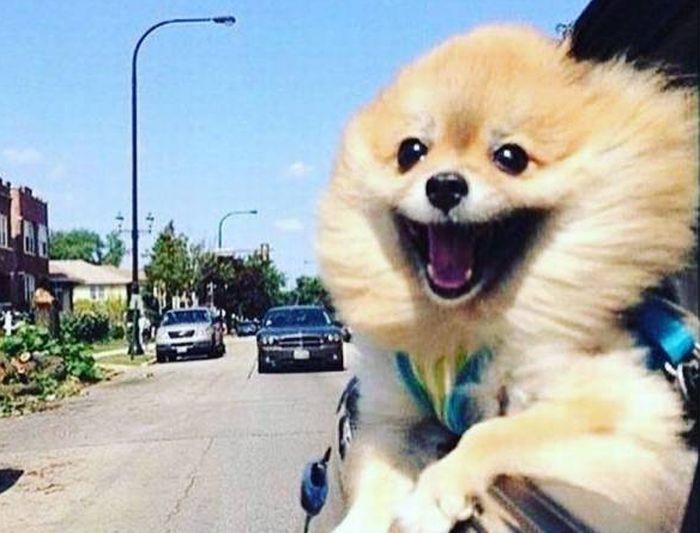 Daily Pictures. Part 1 (69 pics)