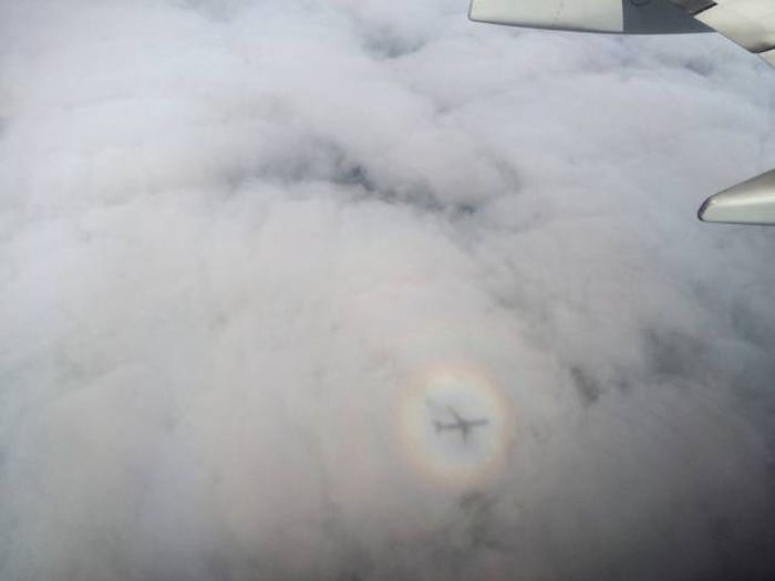 Daily Pictures. Part 1 (69 pics)