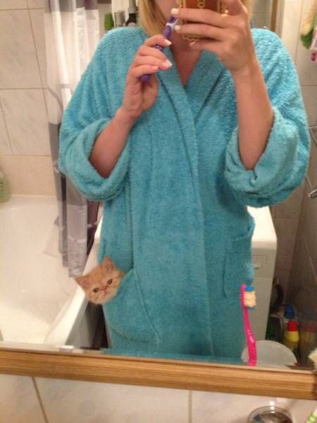 Daily Pictures. Part 1 (69 pics)