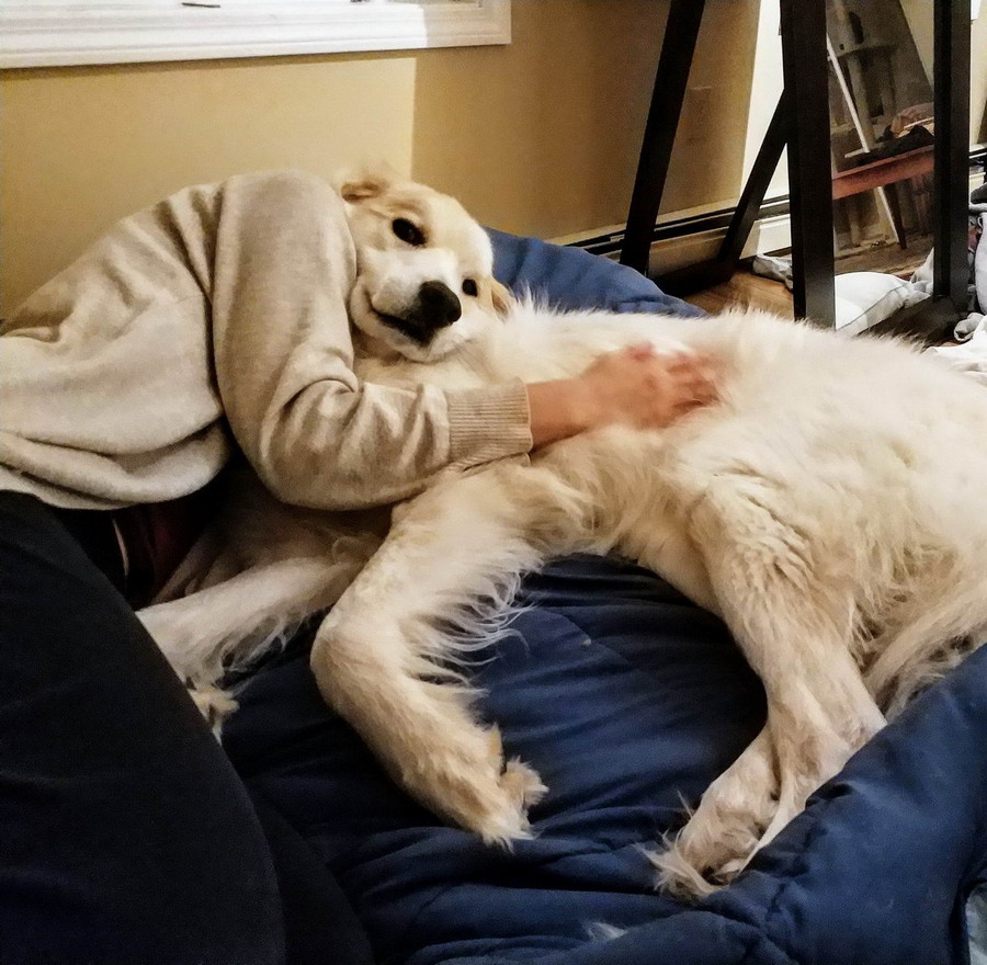 Daily Pictures. Part 1 (69 pics)