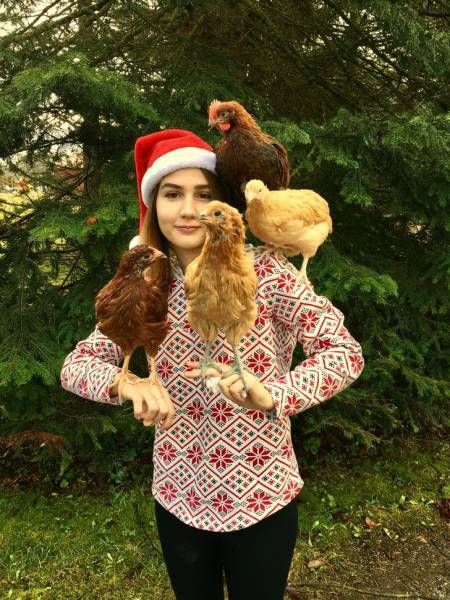 Daily Pictures. Part 1 (69 pics)