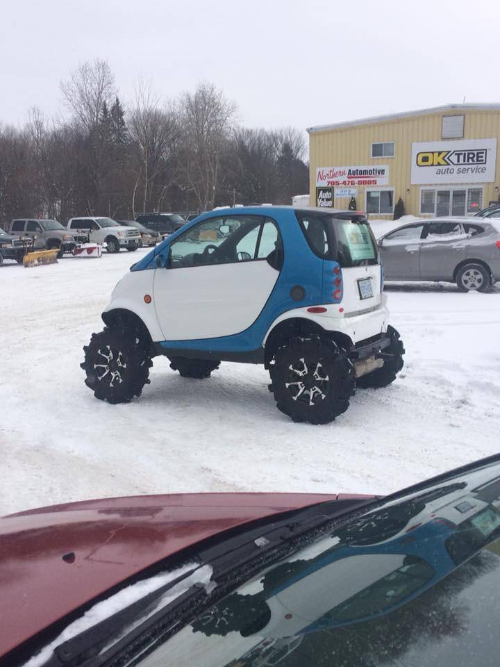 Daily Pictures. Part 1 (69 pics)