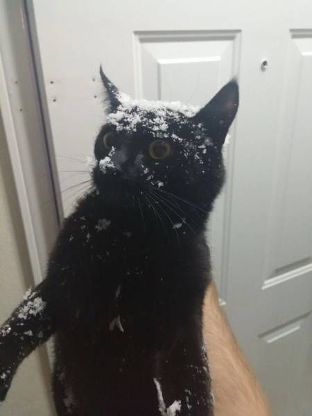 Daily Pictures. Part 1 (69 pics)