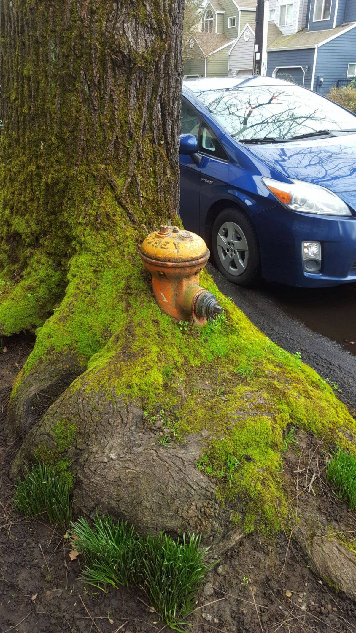 Daily Pictures. Part 1 (69 pics)