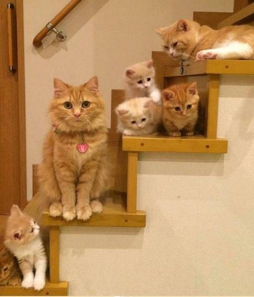 Daily Pictures. Part 1 (69 pics)