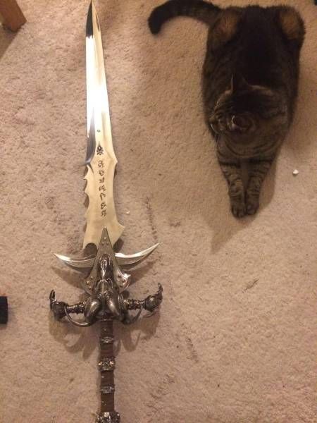 Daily Pictures. Part 1 (69 pics)