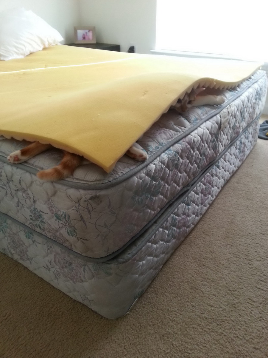 Daily Pictures. Part 1 (69 pics)