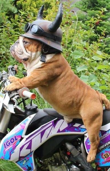 Daily Pictures. Part 2 (67 pics)