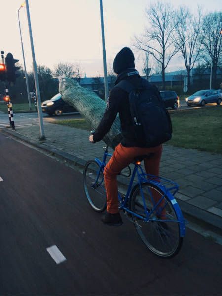 Daily Pictures. Part 1 (69 pics)