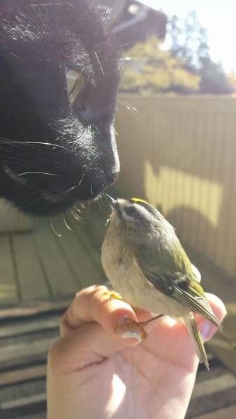 Daily Pictures. Part 1 (69 pics)