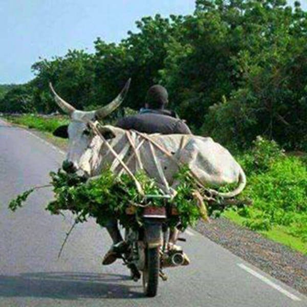 Daily Pictures. Part 2 (67 pics)