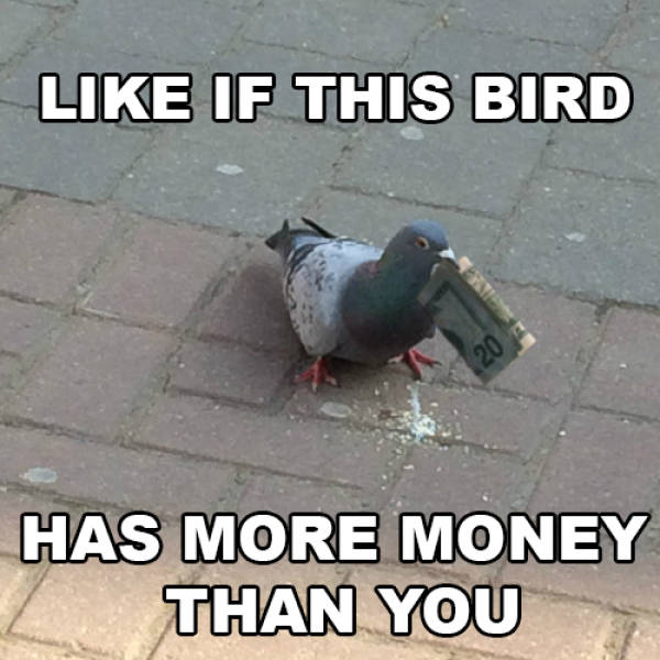 Daily Pictures. Part 2 (67 pics)