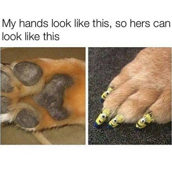 Daily Pictures. Part 2 (67 pics)