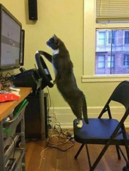 Daily Pictures. Part 2 (67 pics)