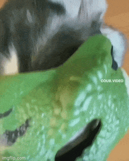 Acid GIFs, March 26 (25 gifs)