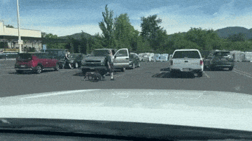Acid GIFs, March 26 (25 gifs)