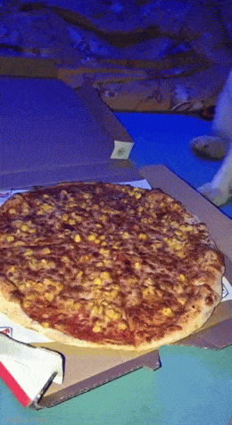 Acid GIFs, March 26 (25 gifs)