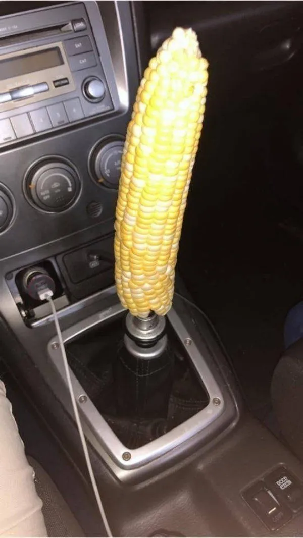 What Is Going On Here? (30 pics)
