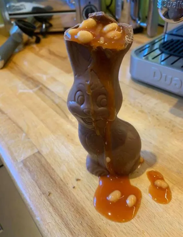 What Is Going On Here? (30 pics)