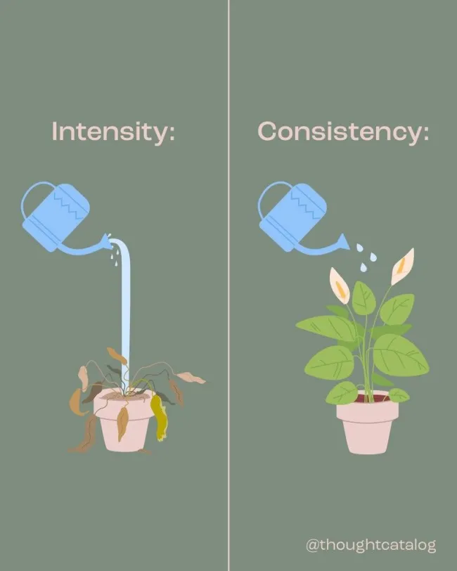 Wise Advice (25 pics)