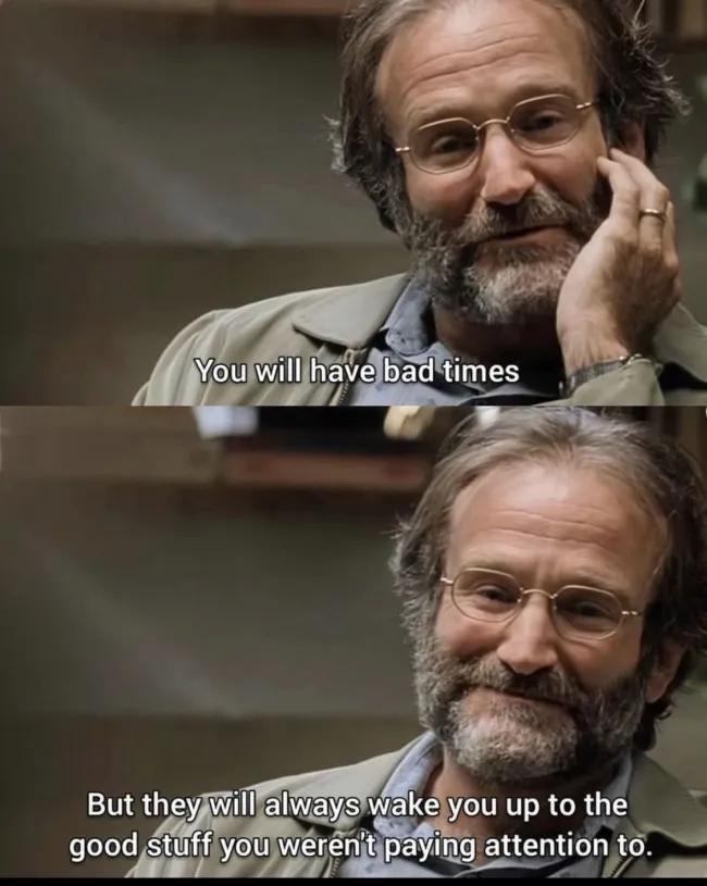 Wise Advice (25 pics)
