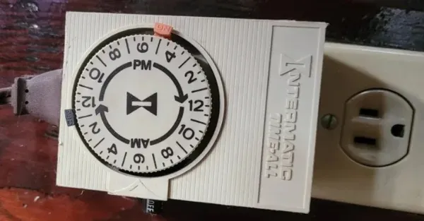 Immortal Things From The Past (20 pics)