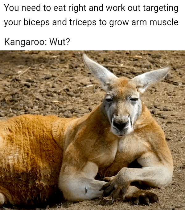 Funny Memes (29 pics)