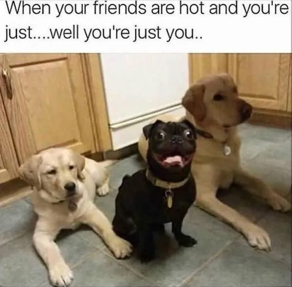 Funny Memes (29 pics)