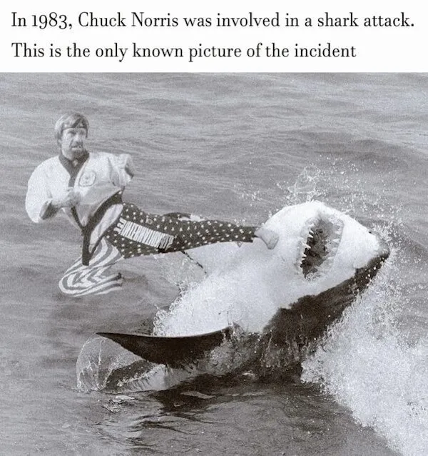 Funny Memes (29 pics)