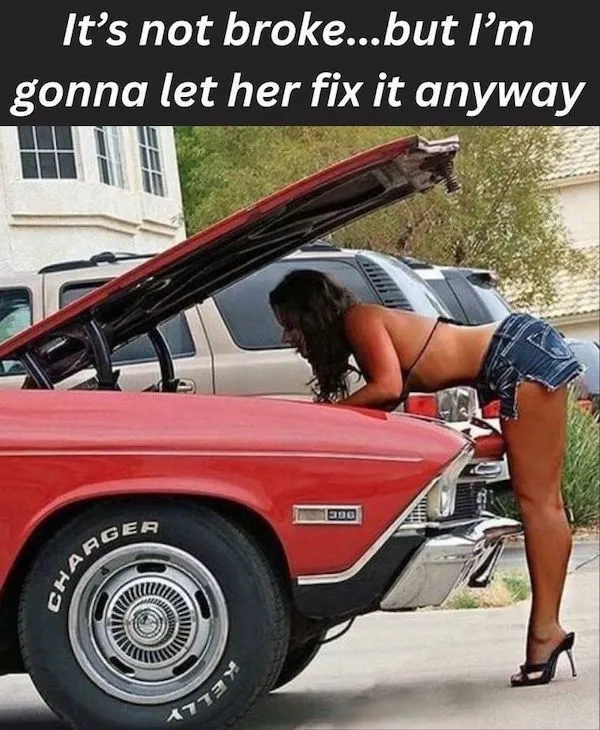 Funny Memes (29 pics)