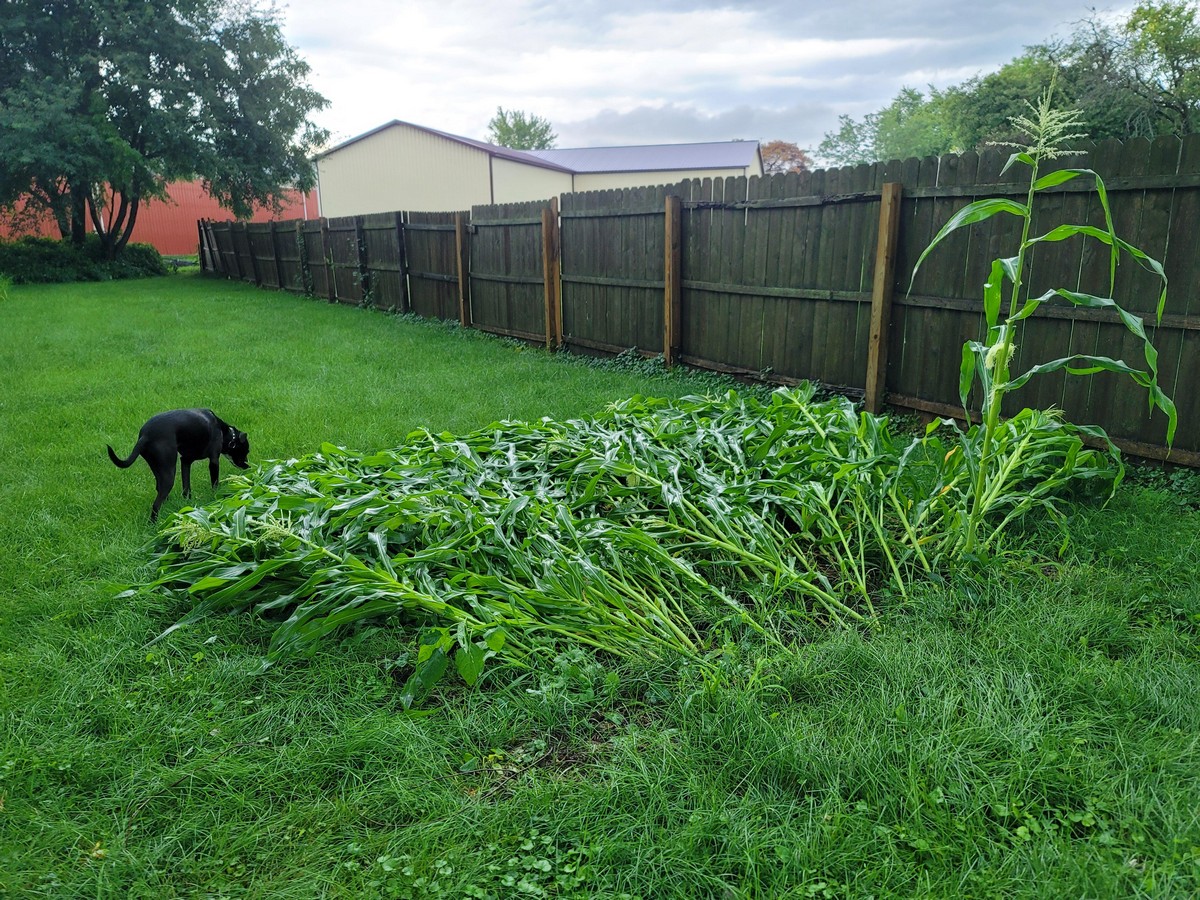 Bad Days Happen (38 pics)