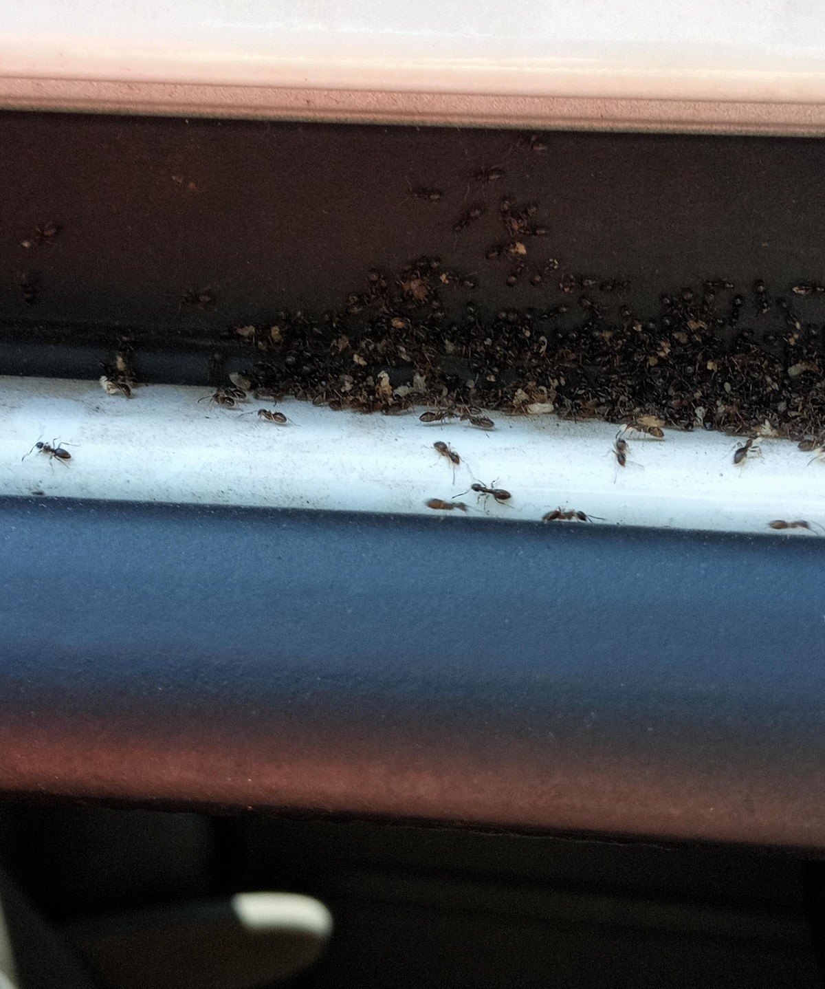 Bad Days Happen (38 pics)