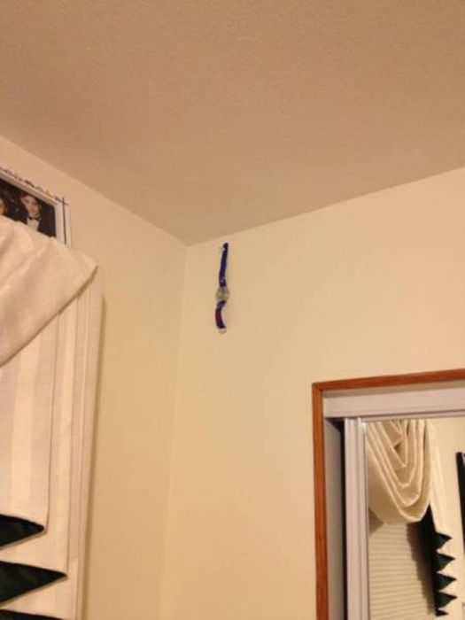Redneck Inventions And Repairs (37 pics)