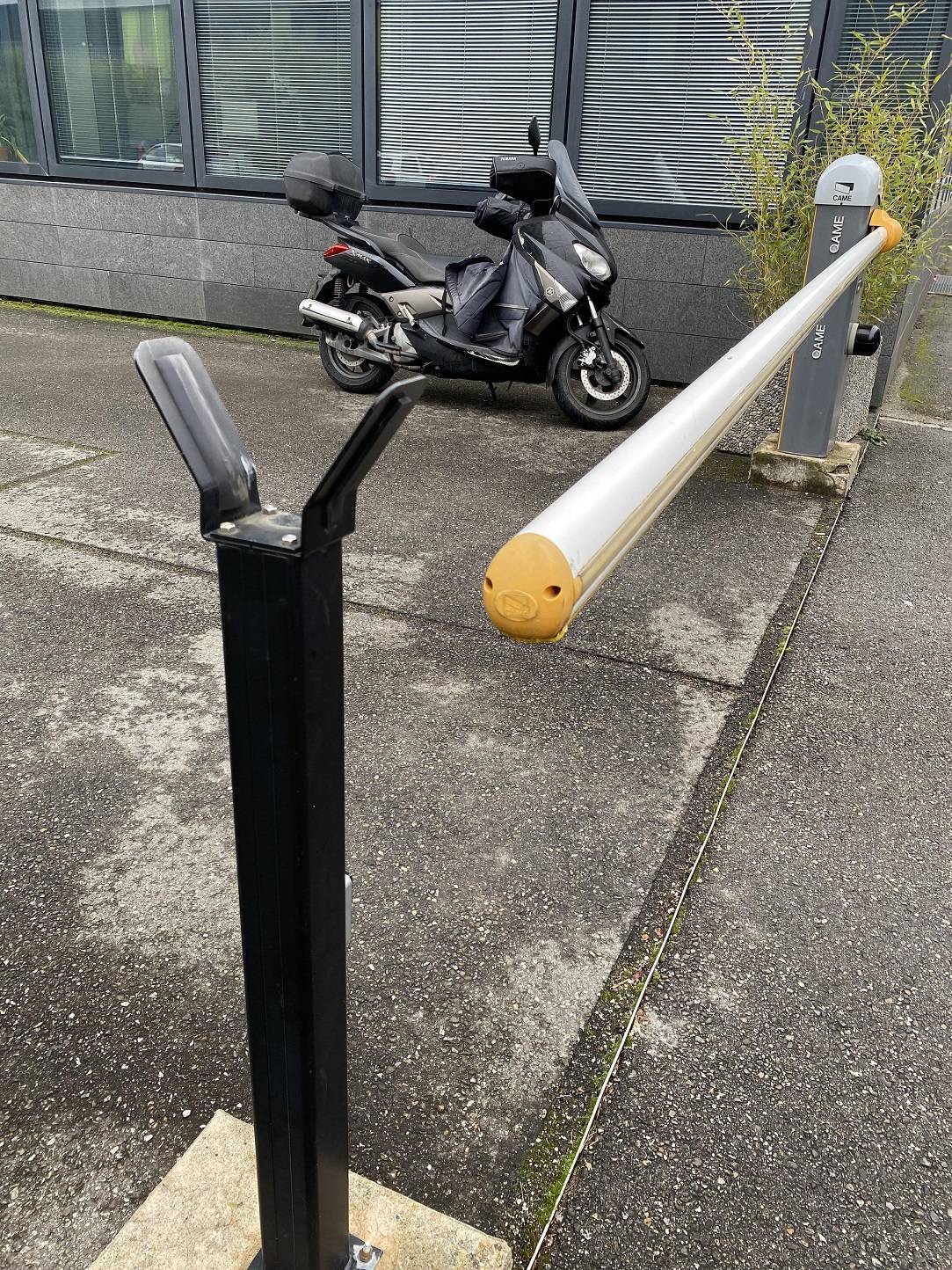 Daily Pictures. Part 1 (83 pics)