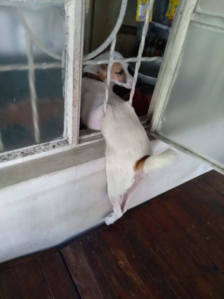 Daily Pictures. Part 1 (83 pics)