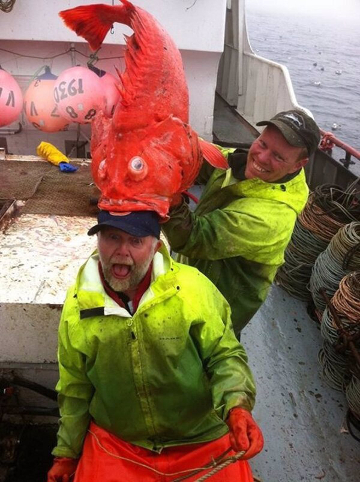 Daily Pictures. Part 1 (83 pics)