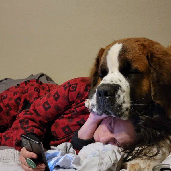 Daily Pictures. Part 1 (83 pics)