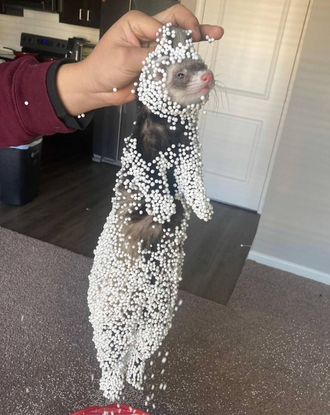 Daily Pictures. Part 1 (83 pics)