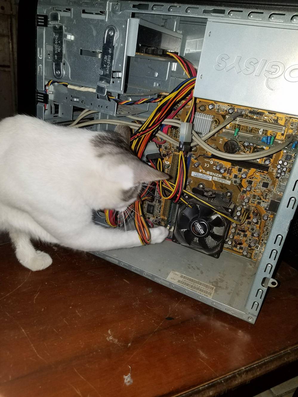 Daily Pictures. Part 1 (83 pics)