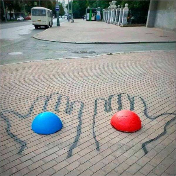 Daily Pictures. Part 1 (83 pics)