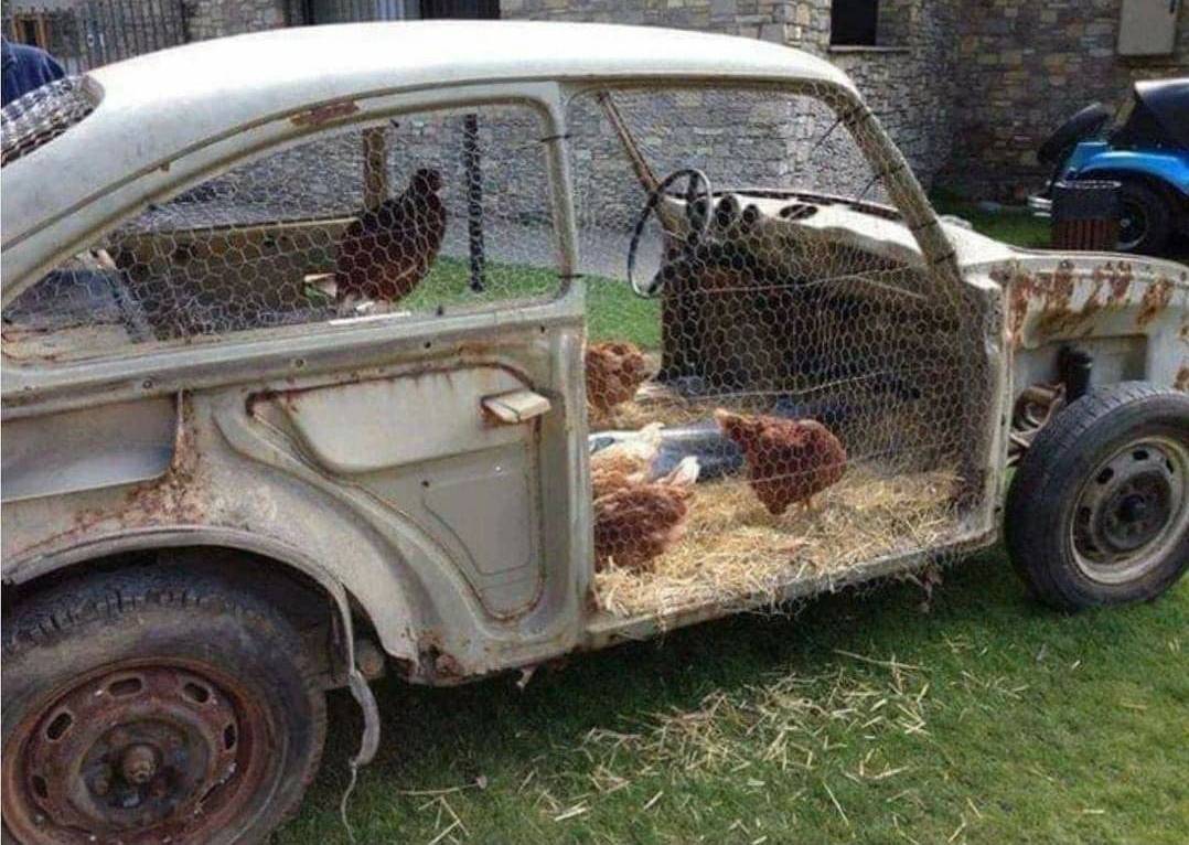 Daily Pictures. Part 1 (83 pics)