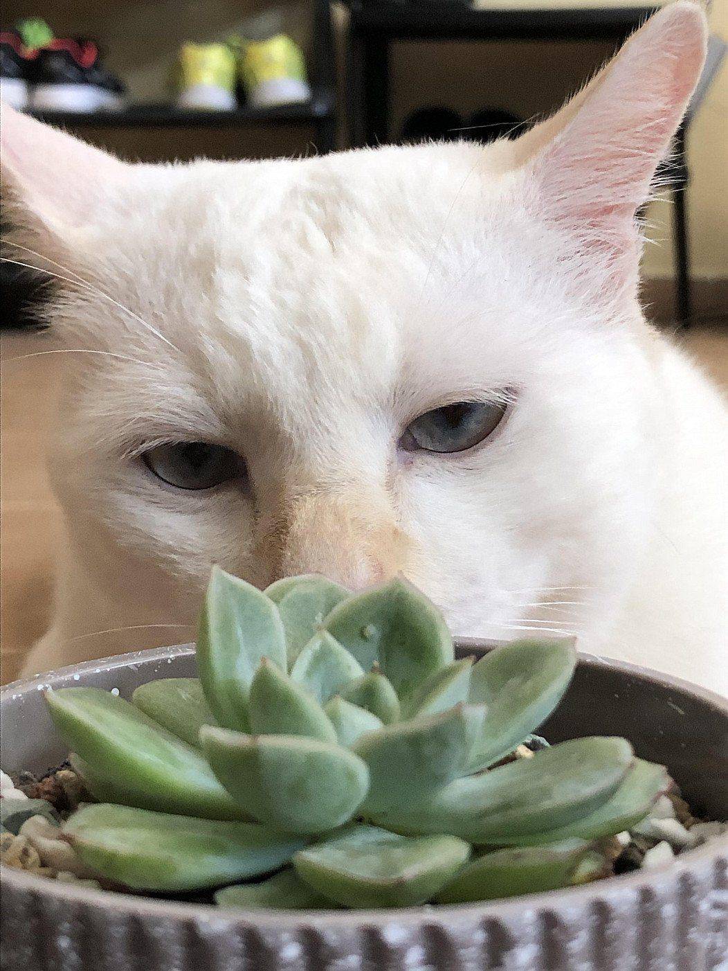 Daily Pictures. Part 1 (83 pics)