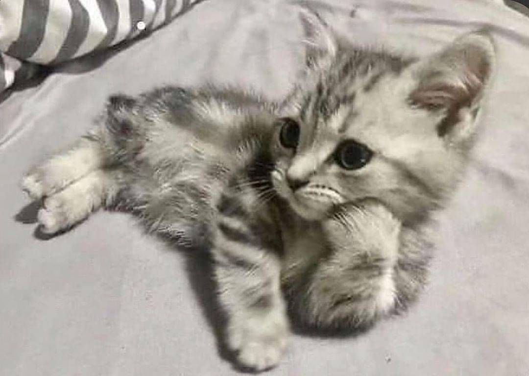 Daily Pictures. Part 1 (83 pics)