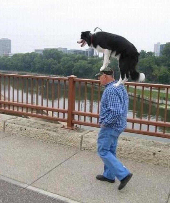 Daily Pictures. Part 1 (83 pics)