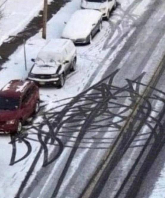 Daily Pictures. Part 1 (83 pics)