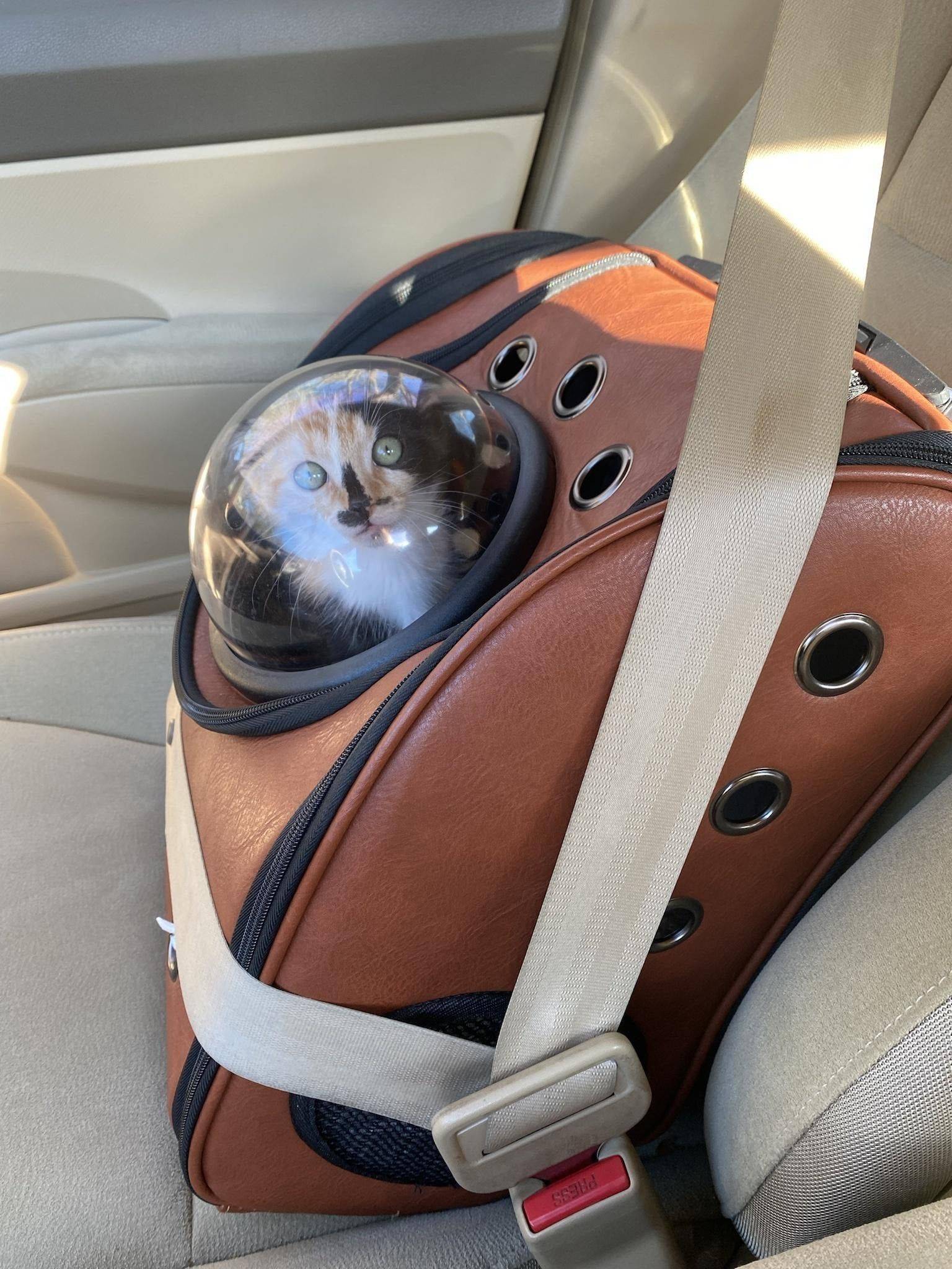 Daily Pictures. Part 1 (83 pics)